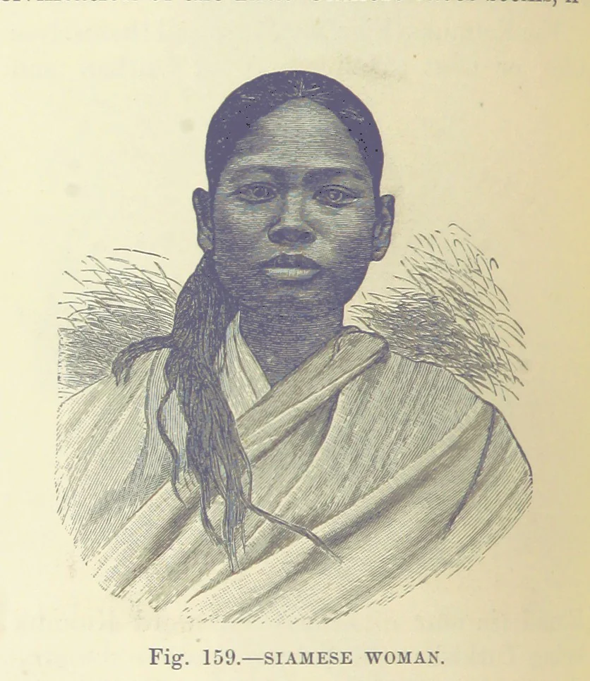 An illustration from Our Earth and its Story: a popular treatise on physical geography. Edited by R. Brown. With ... coloured plates and maps, etc, 1893, leaf 192