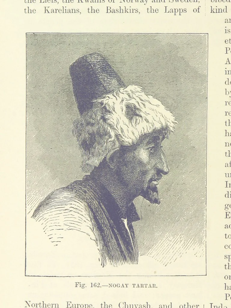 An illustration from Our Earth and its Story: a popular treatise on physical geography. Edited by R. Brown. With ... coloured plates and maps, etc, 1893, leaf 194