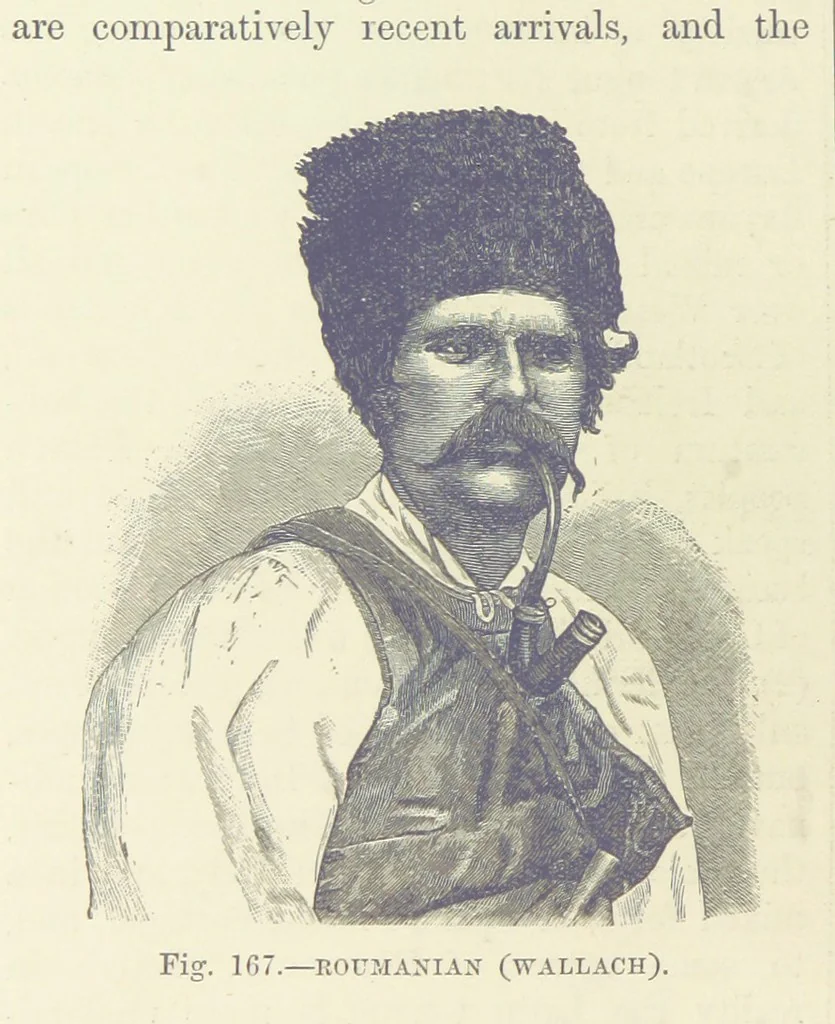 An illustration from Our Earth and its Story: a popular treatise on physical geography. Edited by R. Brown. With ... coloured plates and maps, etc, 1893, leaf 198