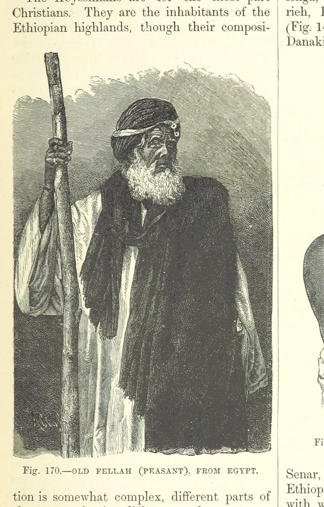 An illustration from Our Earth and its Story: a popular treatise on physical geography. Edited by R. Brown. With ... coloured plates and maps, etc, 1893, leaf 201