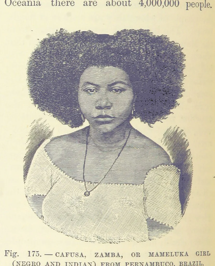An illustration from Our Earth and its Story: a popular treatise on physical geography. Edited by R. Brown. With ... coloured plates and maps, etc, 1893, leaf 208