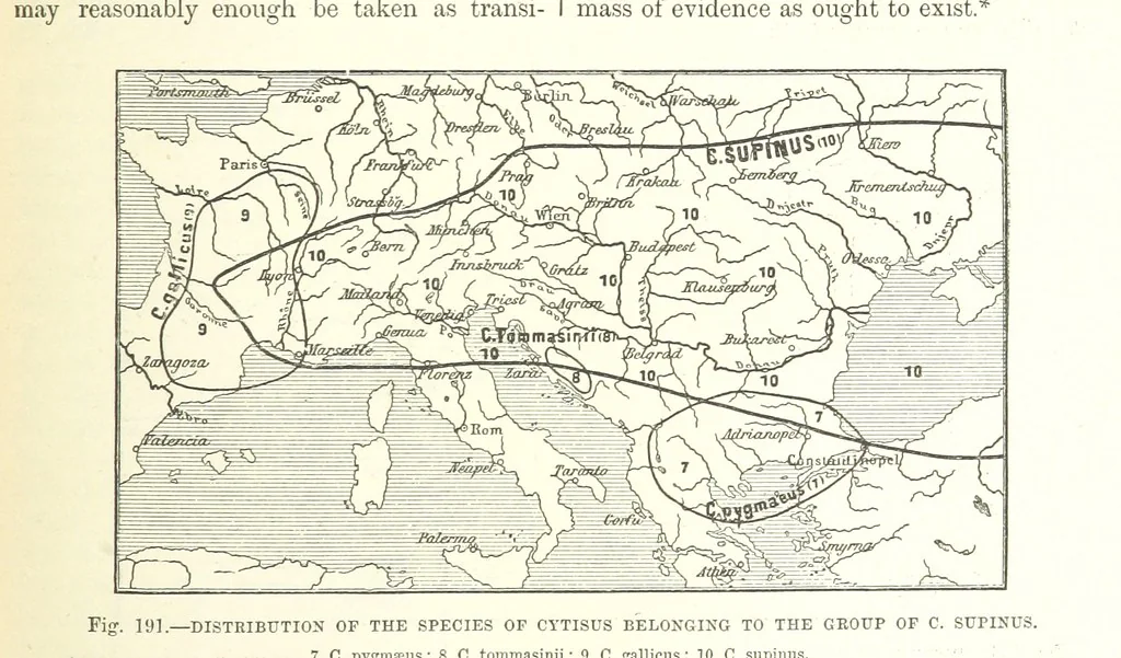 An illustration from Our Earth and its Story: a popular treatise on physical geography. Edited by R. Brown. With ... coloured plates and maps, etc, 1893, leaf 223