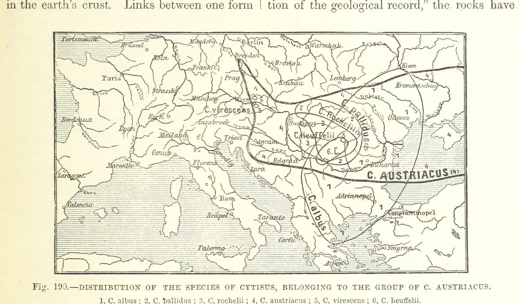 An illustration from Our Earth and its Story: a popular treatise on physical geography. Edited by R. Brown. With ... coloured plates and maps, etc, 1893, leaf 223