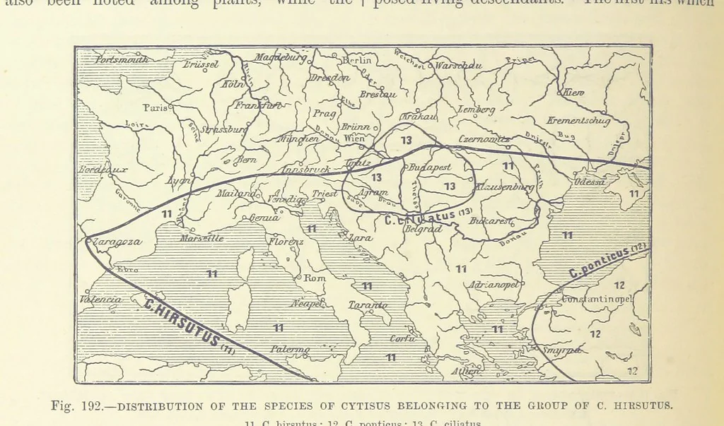 An illustration from Our Earth and its Story: a popular treatise on physical geography. Edited by R. Brown. With ... coloured plates and maps, etc, 1893, leaf 224