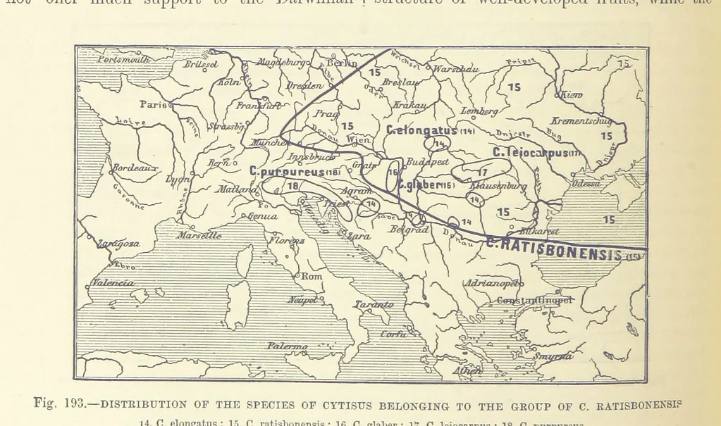 An illustration from Our Earth and its Story: a popular treatise on physical geography. Edited by R. Brown. With ... coloured plates and maps, etc, 1893, leaf 224