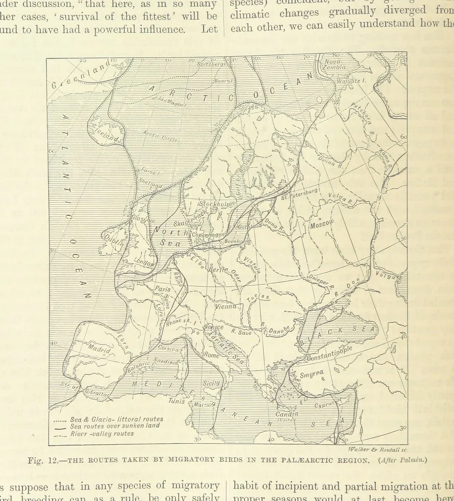 An illustration from Our Earth and its Story: a popular treatise on physical geography. Edited by R. Brown. With ... coloured plates and maps, etc, 1893, leaf 26
