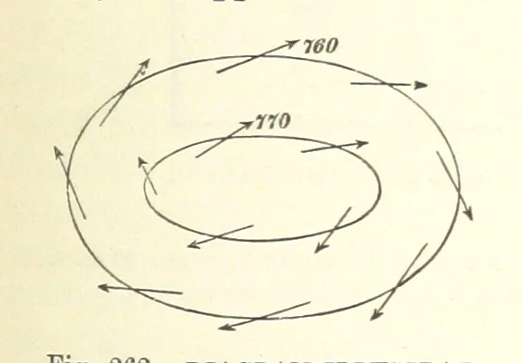 An illustration from Our Earth and its Story: a popular treatise on physical geography. Edited by R. Brown. With ... coloured plates and maps, etc, 1893, leaf 359