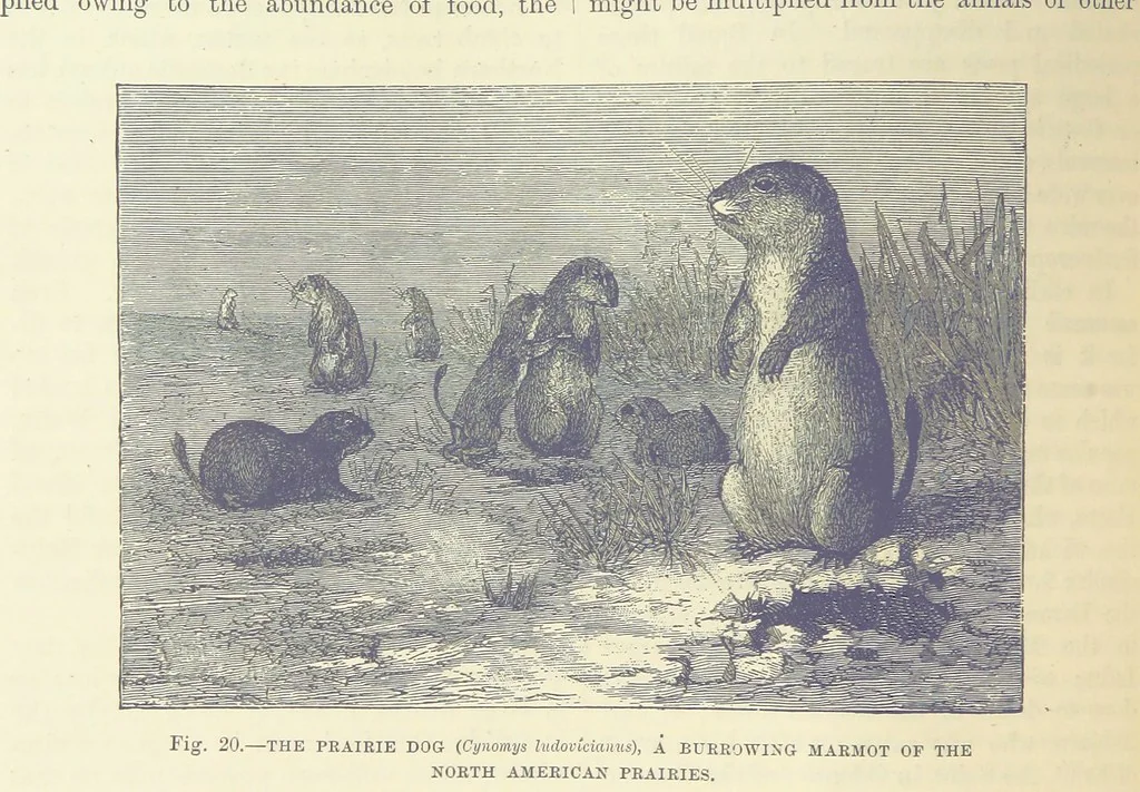 An illustration from Our Earth and its Story: a popular treatise on physical geography. Edited by R. Brown. With ... coloured plates and maps, etc, 1893, leaf 38