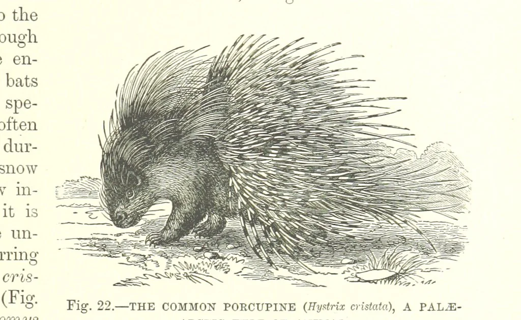 An illustration from Our Earth and its Story: a popular treatise on physical geography. Edited by R. Brown. With ... coloured plates and maps, etc, 1893, leaf 41