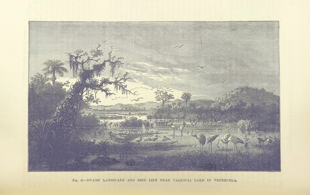 An illustration from Our Earth and its Story: a popular treatise on physical geography. Edited by R. Brown. With ... coloured plates and maps, etc, 1893, leaf 48