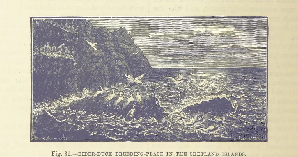 An illustration from Our Earth and its Story: a popular treatise on physical geography. Edited by R. Brown. With ... coloured plates and maps, etc, 1893, leaf 60