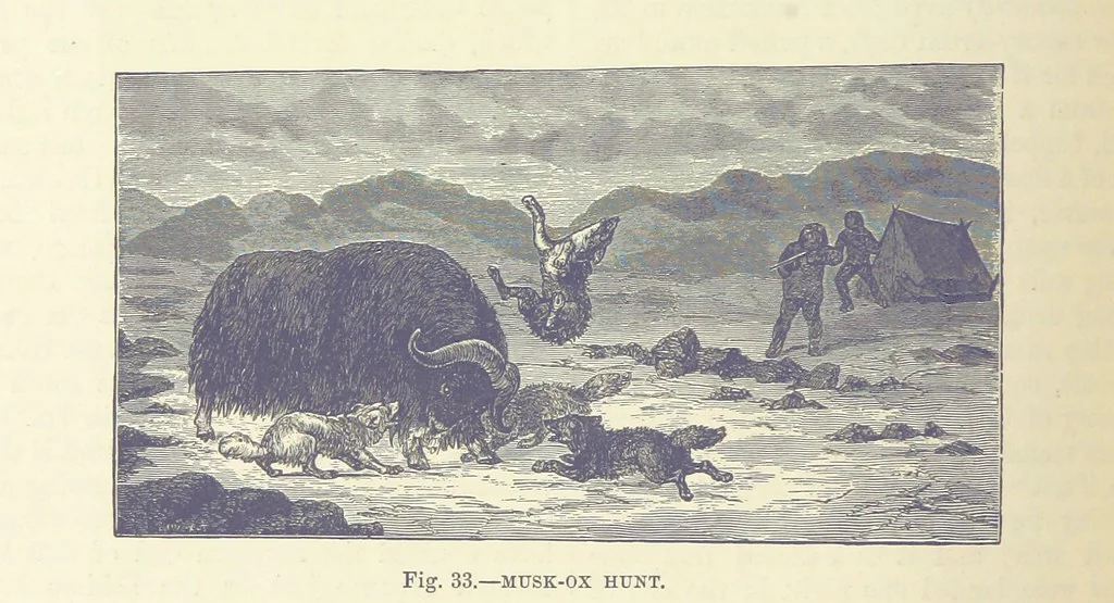 An illustration from Our Earth and its Story: a popular treatise on physical geography. Edited by R. Brown. With ... coloured plates and maps, etc, 1893, leaf 64