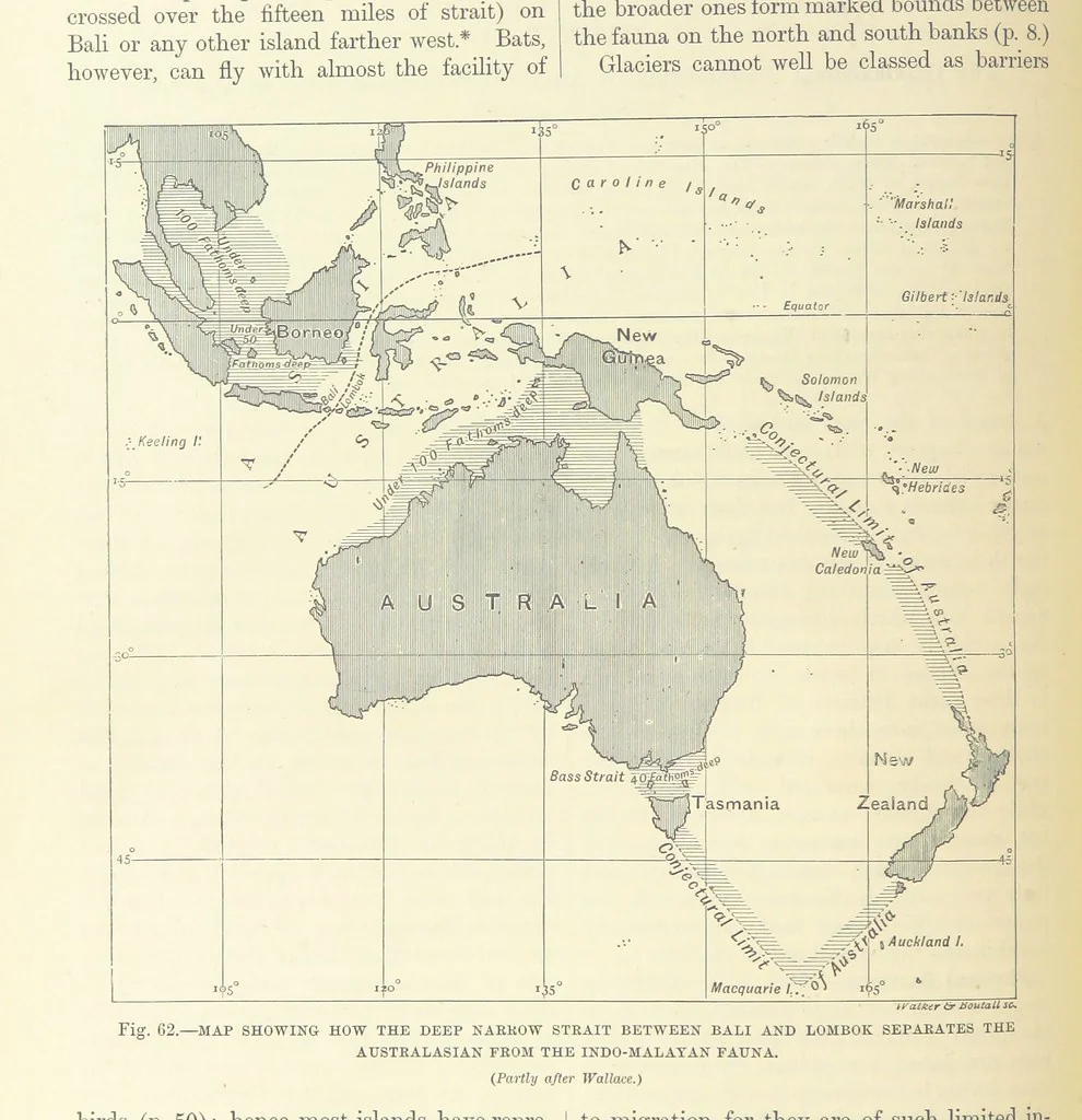An illustration from Our Earth and its Story: a popular treatise on physical geography. Edited by R. Brown. With ... coloured plates and maps, etc, 1893, leaf 96