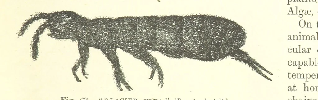 An illustration from Our Earth and its Story: a popular treatise on physical geography. Edited by R. Brown. With ... coloured plates and maps, etc, 1893, leaf 97