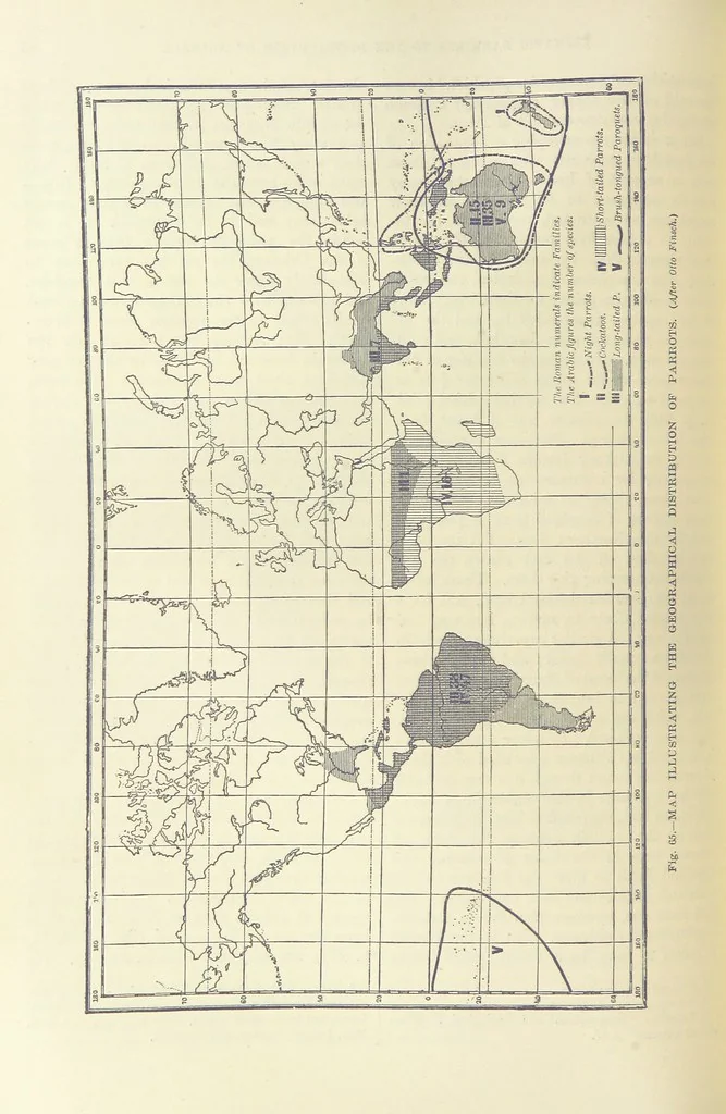 An illustration from Our Earth and its Story: a popular treatise on physical geography. Edited by R. Brown. With ... coloured plates and maps, etc, 1899, leaf 100