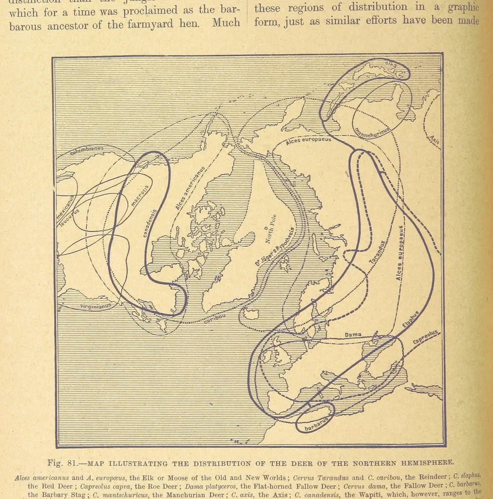 An illustration from Our Earth and its Story: a popular treatise on physical geography. Edited by R. Brown. With ... coloured plates and maps, etc, 1899, leaf 116