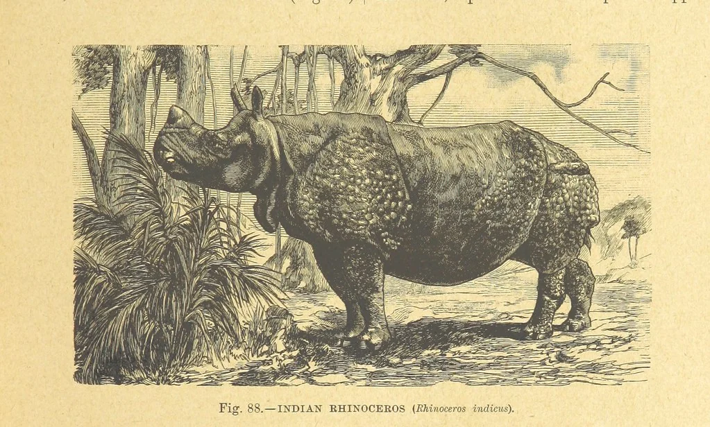 An illustration from Our Earth and its Story: a popular treatise on physical geography. Edited by R. Brown. With ... coloured plates and maps, etc, 1899, leaf 123