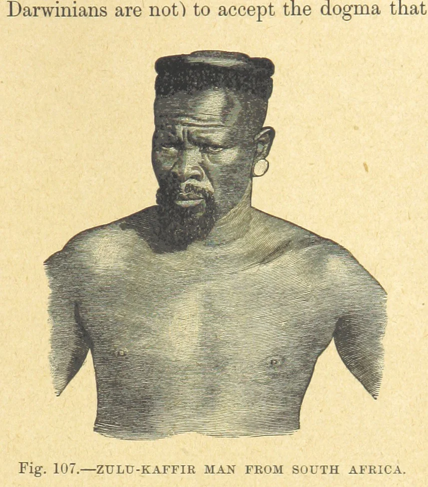 An illustration from Our Earth and its Story: a popular treatise on physical geography. Edited by R. Brown. With ... coloured plates and maps, etc, 1899, leaf 143