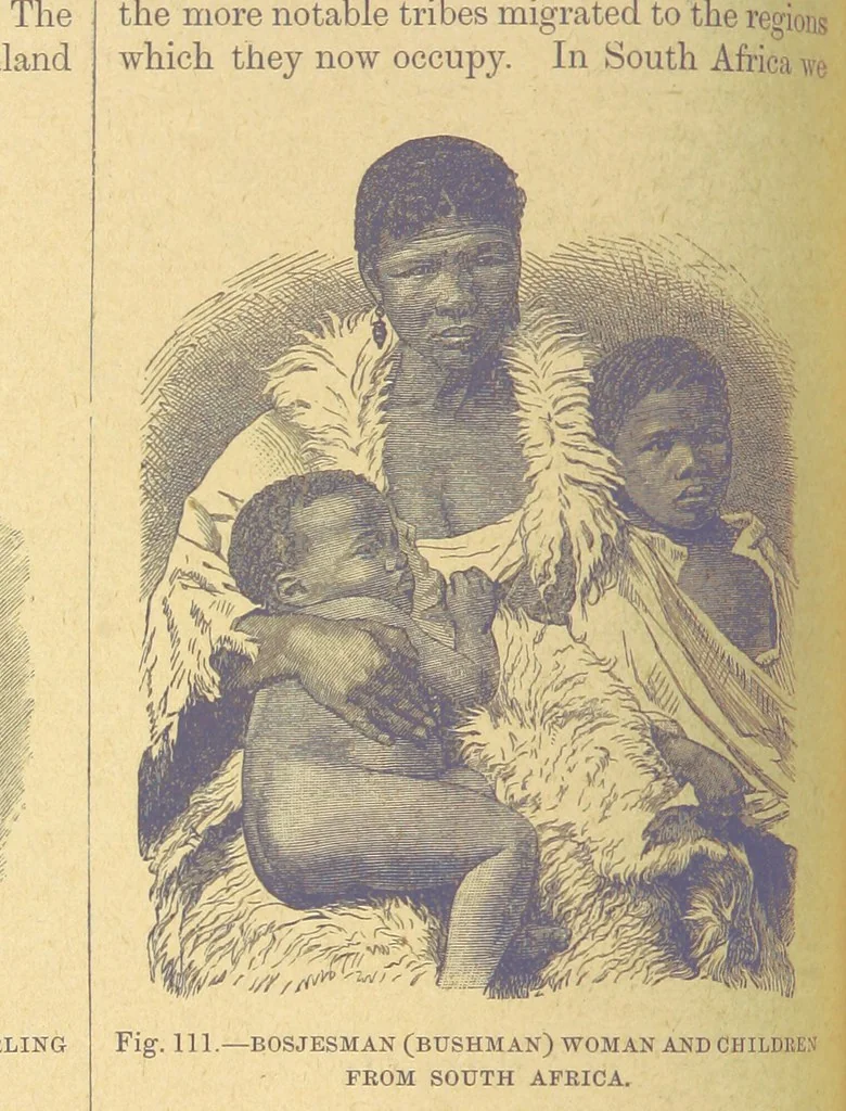 An illustration from Our Earth and its Story: a popular treatise on physical geography. Edited by R. Brown. With ... coloured plates and maps, etc, 1899, leaf 144
