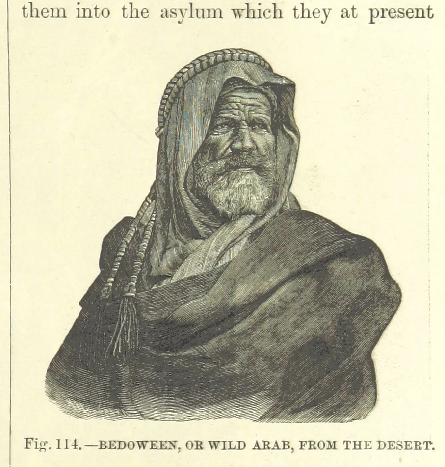 An illustration from Our Earth and its Story: a popular treatise on physical geography. Edited by R. Brown. With ... coloured plates and maps, etc, 1899, leaf 145