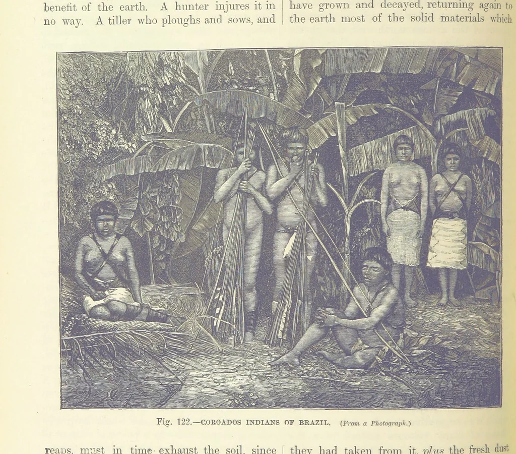 An illustration from Our Earth and its Story: a popular treatise on physical geography. Edited by R. Brown. With ... coloured plates and maps, etc, 1899, leaf 152