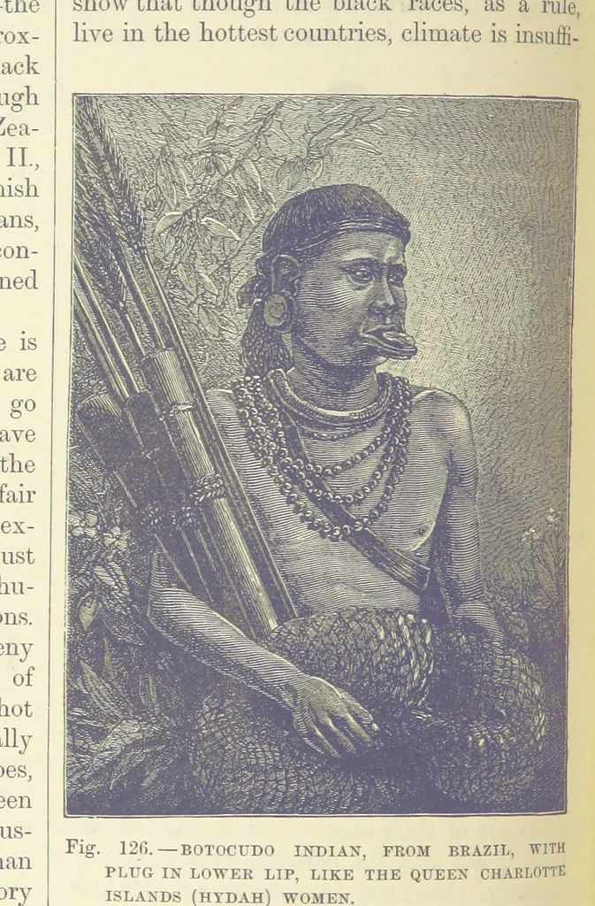 An illustration from Our Earth and its Story: a popular treatise on physical geography. Edited by R. Brown. With ... coloured plates and maps, etc, 1899, leaf 156