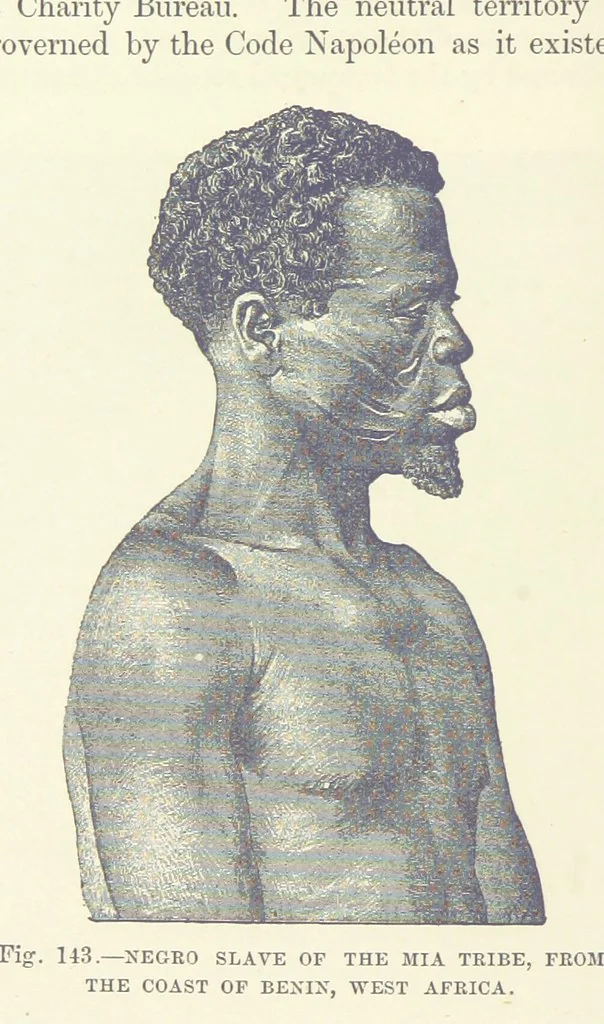 An illustration from Our Earth and its Story: a popular treatise on physical geography. Edited by R. Brown. With ... coloured plates and maps, etc, 1899, leaf 174