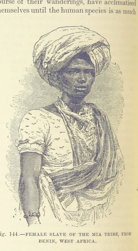 An illustration from Our Earth and its Story: a popular treatise on physical geography. Edited by R. Brown. With ... coloured plates and maps, etc, 1899, leaf 174