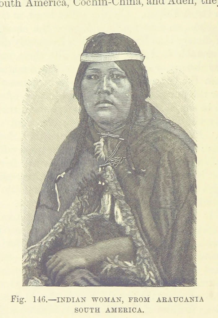An illustration from Our Earth and its Story: a popular treatise on physical geography. Edited by R. Brown. With ... coloured plates and maps, etc, 1899, leaf 176
