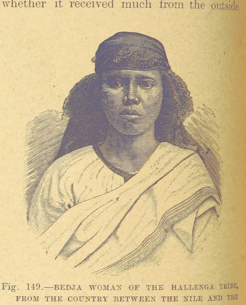 An illustration from Our Earth and its Story: a popular treatise on physical geography. Edited by R. Brown. With ... coloured plates and maps, etc, 1899, leaf 178
