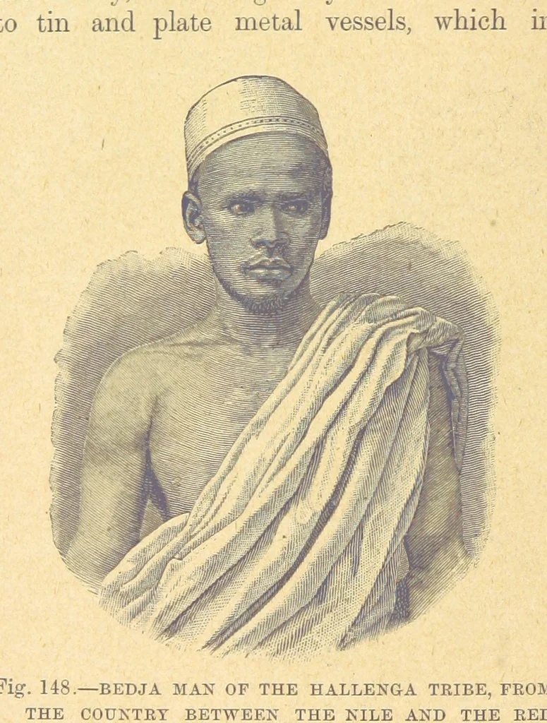 An illustration from Our Earth and its Story: a popular treatise on physical geography. Edited by R. Brown. With ... coloured plates and maps, etc, 1899, leaf 178