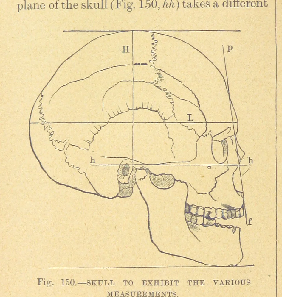 An illustration from Our Earth and its Story: a popular treatise on physical geography. Edited by R. Brown. With ... coloured plates and maps, etc, 1899, leaf 182