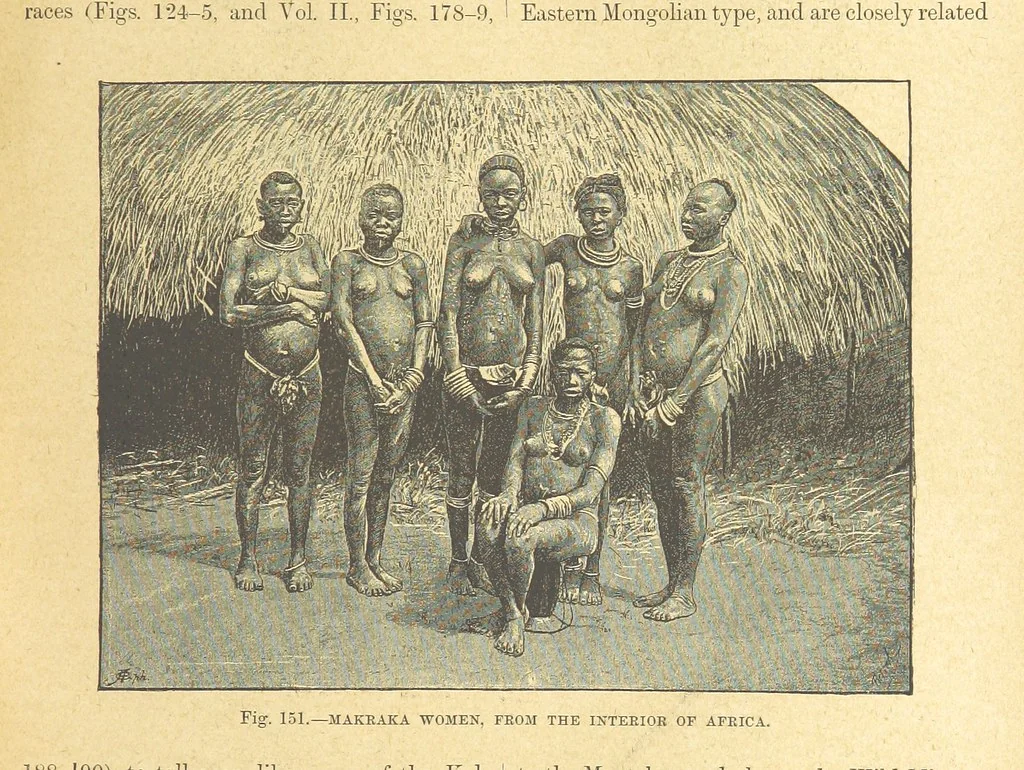 An illustration from Our Earth and its Story: a popular treatise on physical geography. Edited by R. Brown. With ... coloured plates and maps, etc, 1899, leaf 183