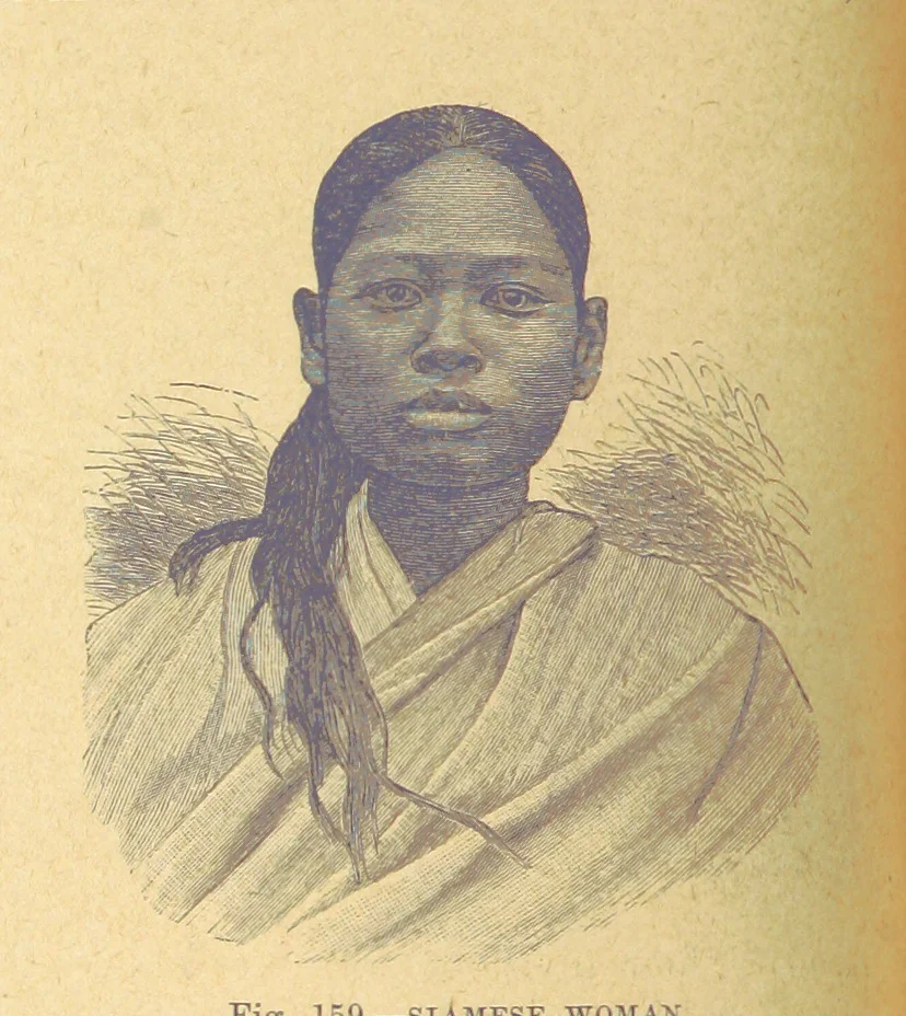 An illustration from Our Earth and its Story: a popular treatise on physical geography. Edited by R. Brown. With ... coloured plates and maps, etc, 1899, leaf 186