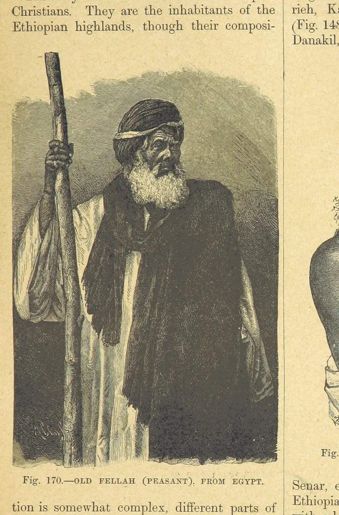 An illustration from Our Earth and its Story: a popular treatise on physical geography. Edited by R. Brown. With ... coloured plates and maps, etc, 1899, leaf 195