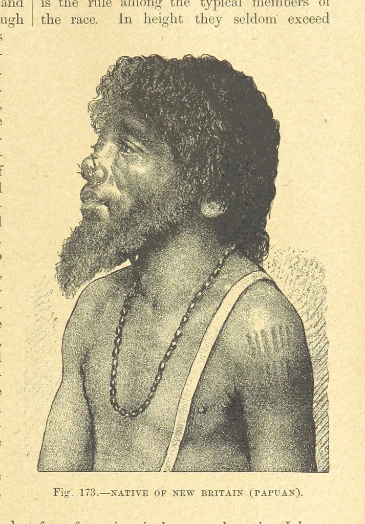 An illustration from Our Earth and its Story: a popular treatise on physical geography. Edited by R. Brown. With ... coloured plates and maps, etc, 1899, leaf 199