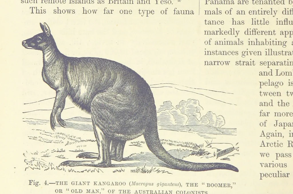 An illustration from Our Earth and its Story: a popular treatise on physical geography. Edited by R. Brown. With ... coloured plates and maps, etc, 1899, leaf 20