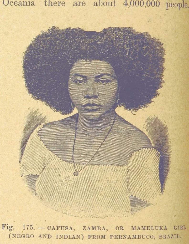 An illustration from Our Earth and its Story: a popular treatise on physical geography. Edited by R. Brown. With ... coloured plates and maps, etc, 1899, leaf 202
