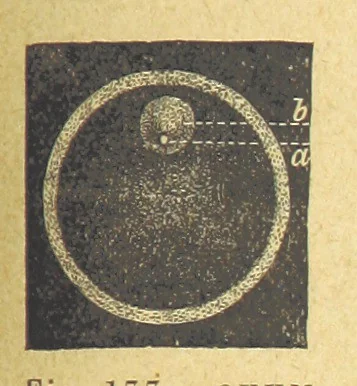 An illustration from Our Earth and its Story: a popular treatise on physical geography. Edited by R. Brown. With ... coloured plates and maps, etc, 1899, leaf 205