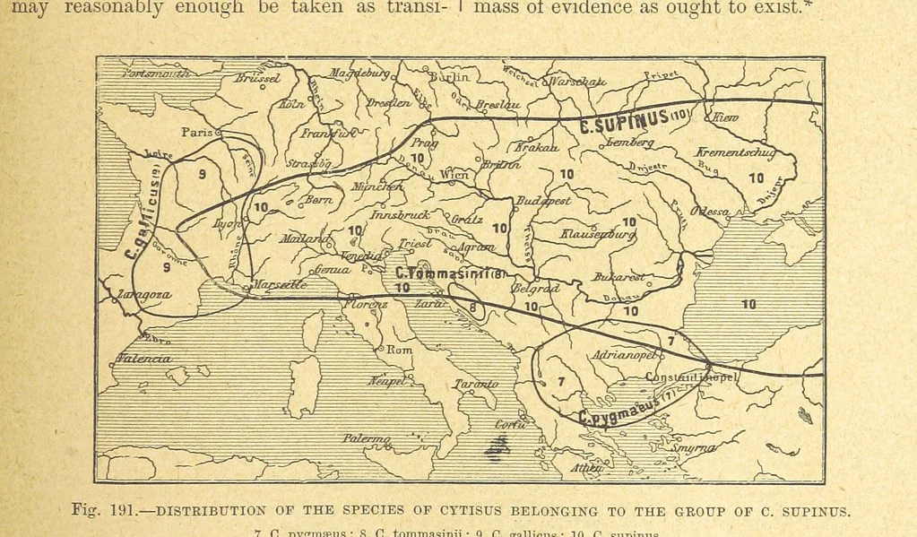 An illustration from Our Earth and its Story: a popular treatise on physical geography. Edited by R. Brown. With ... coloured plates and maps, etc, 1899, leaf 215