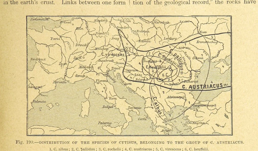 An illustration from Our Earth and its Story: a popular treatise on physical geography. Edited by R. Brown. With ... coloured plates and maps, etc, 1899, leaf 215