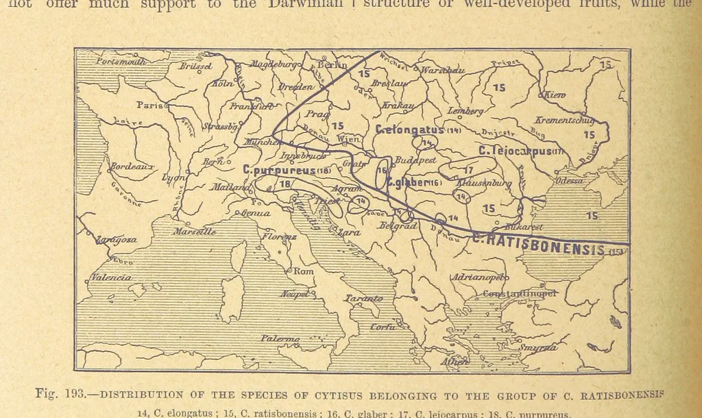An illustration from Our Earth and its Story: a popular treatise on physical geography. Edited by R. Brown. With ... coloured plates and maps, etc, 1899, leaf 216