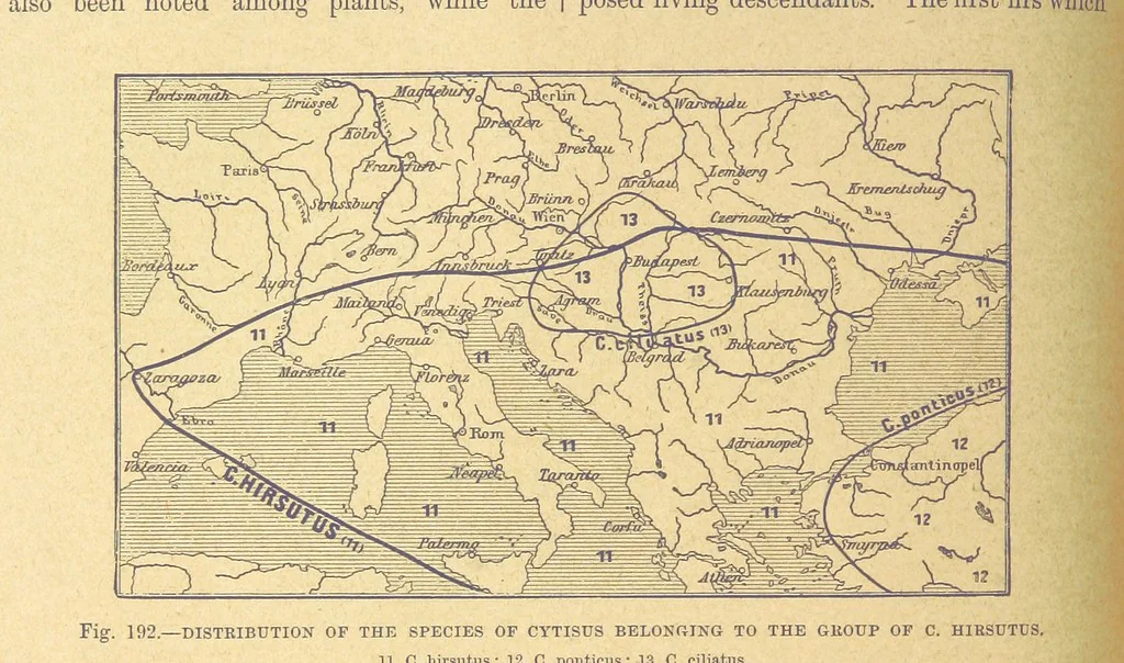 An illustration from Our Earth and its Story: a popular treatise on physical geography. Edited by R. Brown. With ... coloured plates and maps, etc, 1899, leaf 216