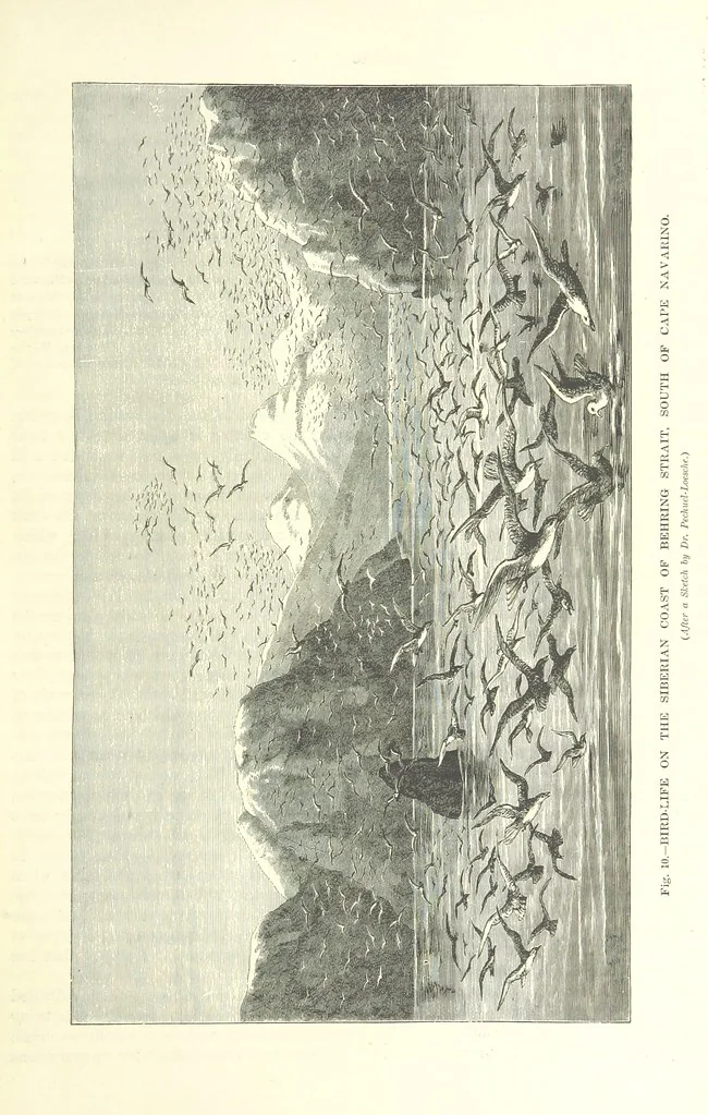 An illustration from Our Earth and its Story: a popular treatise on physical geography. Edited by R. Brown. With ... coloured plates and maps, etc, 1899, leaf 25
