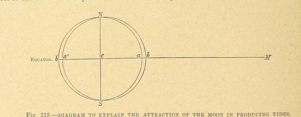 An illustration from Our Earth and its Story: a popular treatise on physical geography. Edited by R. Brown. With ... coloured plates and maps, etc, 1899, leaf 260