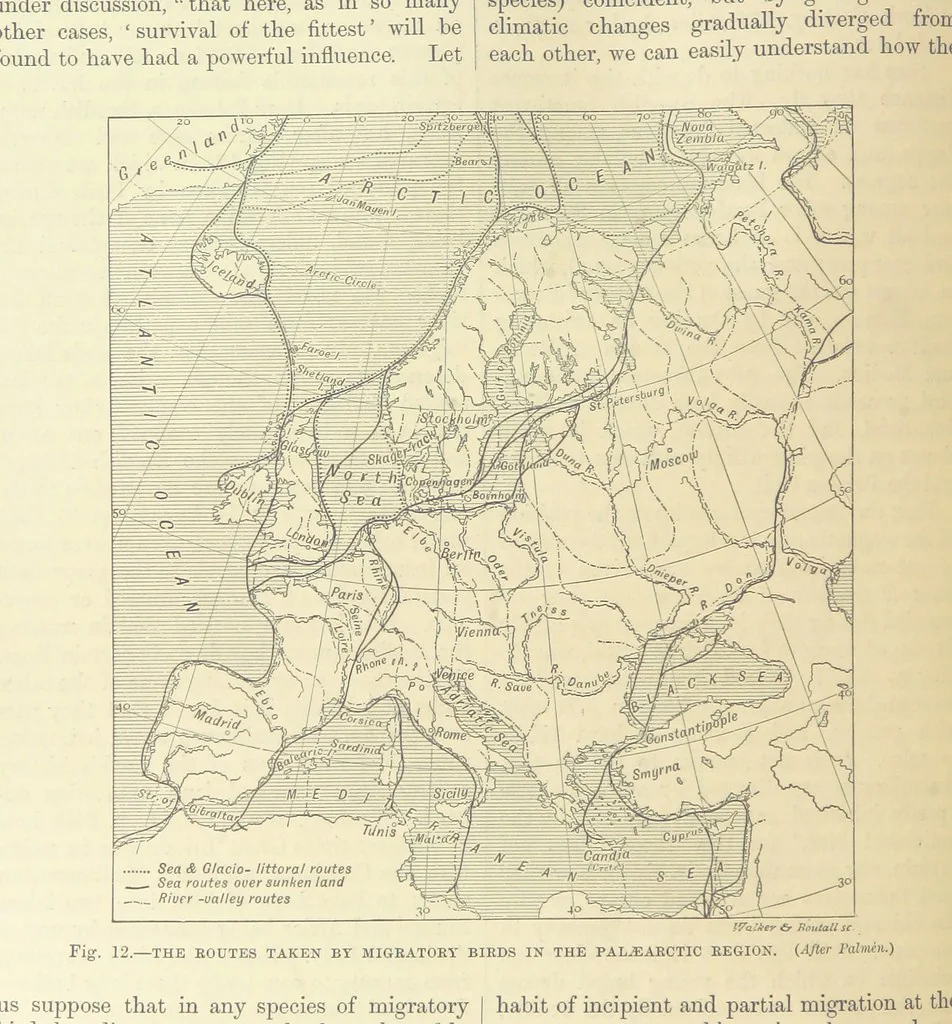 An illustration from Our Earth and its Story: a popular treatise on physical geography. Edited by R. Brown. With ... coloured plates and maps, etc, 1899, leaf 32