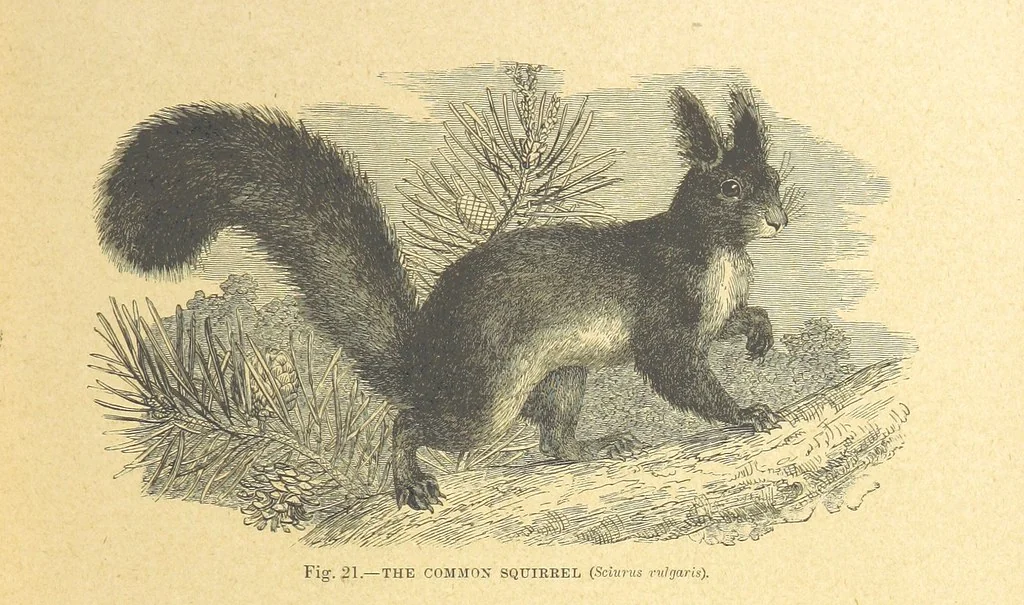 An illustration from Our Earth and its Story: a popular treatise on physical geography. Edited by R. Brown. With ... coloured plates and maps, etc, 1899, leaf 45