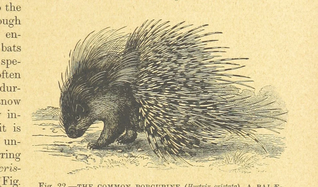 An illustration from Our Earth and its Story: a popular treatise on physical geography. Edited by R. Brown. With ... coloured plates and maps, etc, 1899, leaf 47