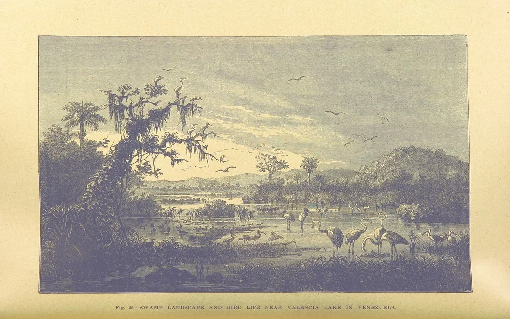An illustration from Our Earth and its Story: a popular treatise on physical geography. Edited by R. Brown. With ... coloured plates and maps, etc, 1899, leaf 52