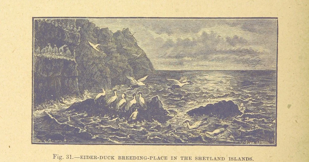 An illustration from Our Earth and its Story: a popular treatise on physical geography. Edited by R. Brown. With ... coloured plates and maps, etc, 1899, leaf 64